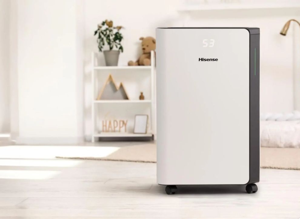 ტენის ამომშრობი Hisense D20CW 40-50 მ2